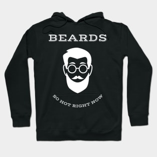 Beards...so hot right now Hoodie